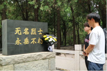 图片 图片